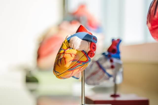 Residência Médica em Cirurgia Cardiovascular: rotina, remuneração, estudos e mais!