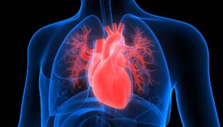 ResuMED de dissecção de aorta e outras síndromes aórticas, como entendê-las e muito mais!