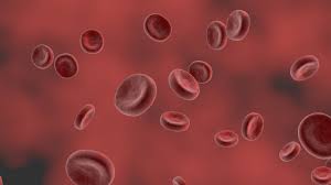 Resumo de hemofilia: manifestações clínicas, diagnóstico, tratamento e mais!