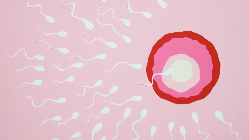 ResuMED de infertilidade conjugal – conceitos, propedêutica, tratamento e muito mais!