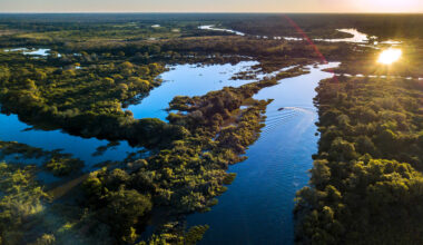 Imagem vista de cima do Pantanal em Mato Grosso do Sul em imagem meramente ilustrativa das Notas de Corte 2022/2023 para residência médica nas principais instituições do Mato Grosso do Sul