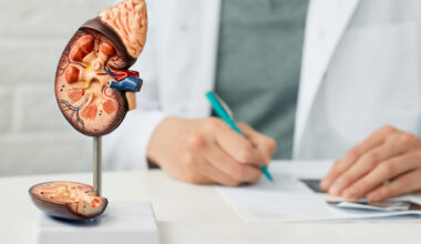 médico especialista em Urologia ao fundo fazendo anotação em um papel com um modelo de Rim disposto em sua frente sobre a mesa